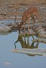 Namibia_Sep_2013 (161)