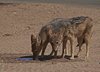 Namibia_Sep_2013 (26)