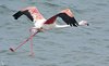Namibia_Sep_2013 (57)
