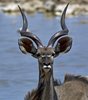 Namibia_Sep_2013 (120)