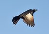 Namibia_Sep_2013 (29)