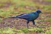 Namibia_Sep_2013 (193)