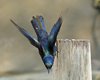 Namibia_Sep_2013 (180)