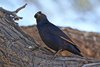 Namibia_Sep_2013 (16)