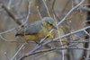 Namibia_Sep_2013 (169)