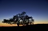Namibia_Sep_2013 (19)