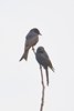 Namibia_Sep_2013 (175)
