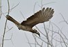 Namibia_Sep_2013 (177)