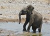 Namibia_Sep_2013 (143)