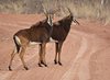 Namibia_Sep_2013 (198)