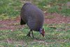 Namibia_Sep_2013 (207)