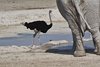 Namibia_Sep_2013 (124)