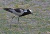 Namibia_Sep_2013 (130)