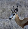 Namibia_Sep_2013 (148)