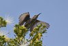 Namibia_Sep_2013 (140)