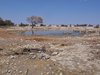 Namibia_Sep_2013 (116)