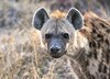 Namibia_Sep_2013 (100)
