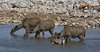 Namibia_Sep_2013 (113)