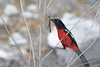Namibia_Sep_2013 (135)