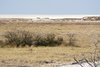Namibia_Sep_2013 (152)