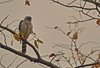 Namibia_Sep_2013 (163)