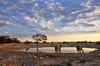 Namibia_Sep_2013 (94)