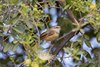 Namibia_Sep_2013 (137)