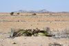 Namibia_Sep_2013 (36)