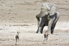 Namibia_Sep_2013 (126)