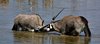 Namibia_Sep_2013 (121)
