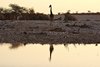Namibia_Sep_2013 (93)