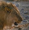 Namibia_Sep_2013 (90)