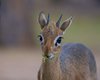 Namibia_Sep_2013 (195)
