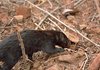 Namibia_Sep_2013 (206)