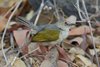 Namibia_Sep_2013 (172)