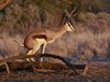 Namibia_Sep_2013 (31)