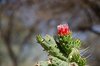 Namibia_Sep_2013 (32a)