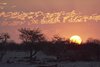 Namibia_Sep_2013 (132)