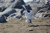 Namibia_Sep_2013 (62)