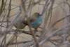 Namibia_Sep_2013 (162)