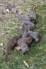 Namibia_Sep_2013 (194)