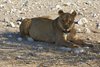 Namibia_Sep_2013 (89)