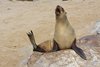 Namibia_Sep_2013 (66)