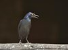 Namibia_Sep_2013 (34)