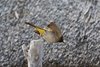 Namibia_Sep_2013 (138)