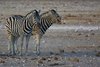 Namibia_Sep_2013 (106)
