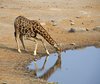 Namibia_Sep_2013 (185)