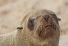 Namibia_Sep_2013 (67)