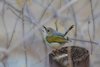 Namibia_Sep_2013 (160)
