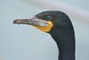 Namibia_Sep_2013 (49)